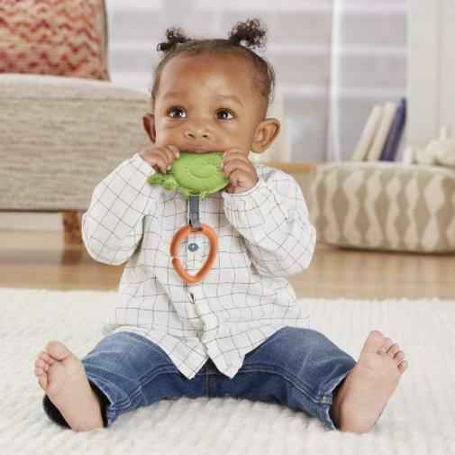2 Pcs Fisher-Price Baby Animal Teether Assortment