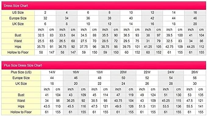 Women's Elegant Lace Chiffon Formal Evening Dresses Ruffle Bridesmaid Maxi Dress- M - OneBag