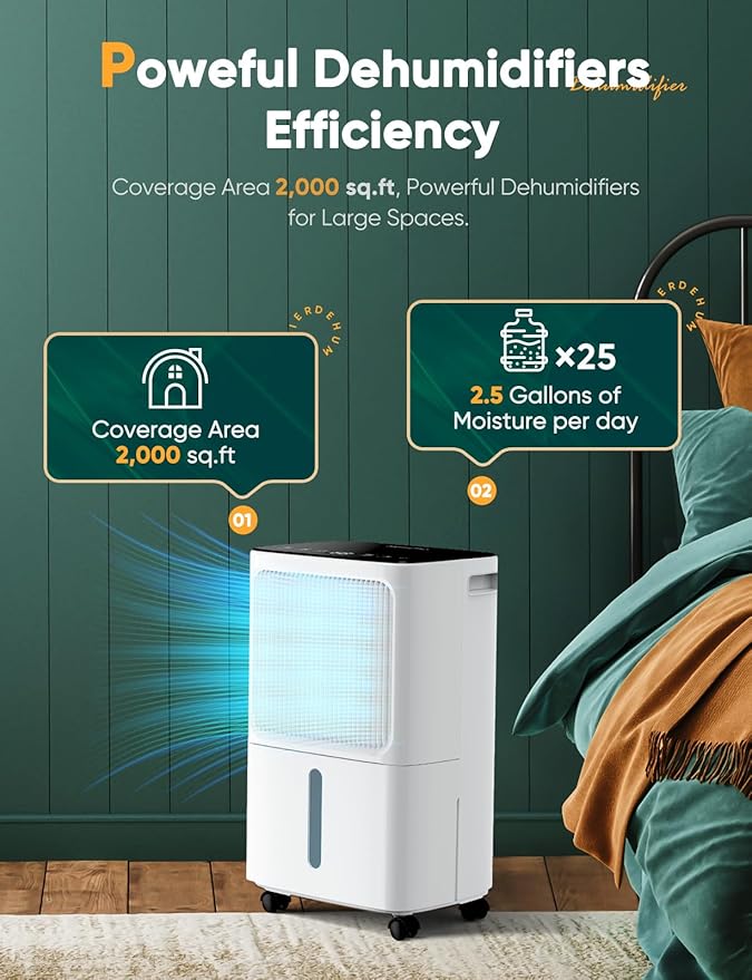12L/Day Dehumidifiers for Home Damp, Compressor Dehumidifier with Humidity Display&Control, Ultra Quiet, 24 Hour Timer, Water Tank & Drainage Hose - OneBag