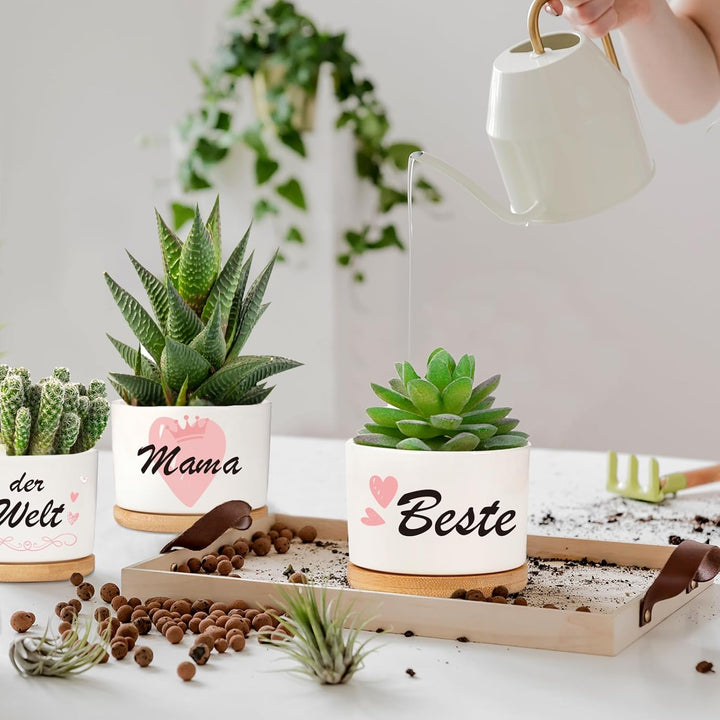 3 Pcs Mother's Day Gift Ceramic Small Planters Pots with Saucers - OneBag