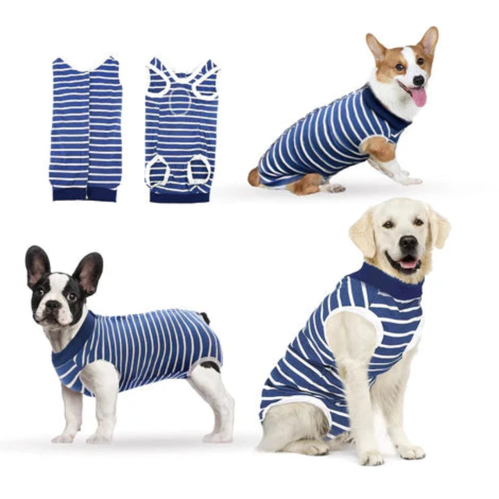 Stripe Blue Dog Surgical Recovery Suit for Abdominal Wounds or Skin Diseases- XL - OneBag