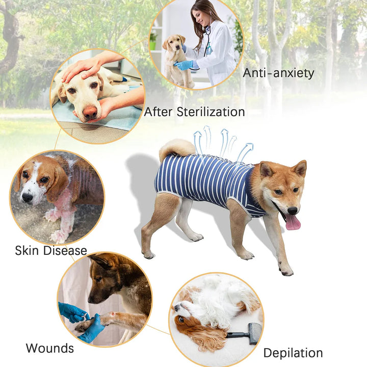 Stripe Blue Dog Surgical Recovery Suit for Abdominal Wounds or Skin Diseases- XL - OneBag