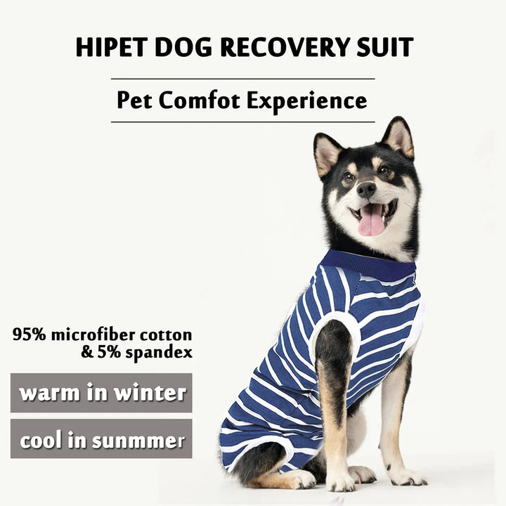 Stripe Blue Dog Surgical Recovery Suit for Abdominal Wounds or Skin Diseases- XL - OneBag