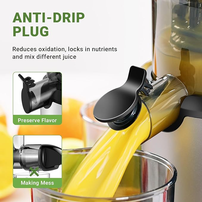 AMZCHEF Silver Whole Fruit Juicer Machines, 80MM Diameter Slow Masticating Juicer, Powerful Cold Press Juicers with Upgrade Auger- 312 - OneBag