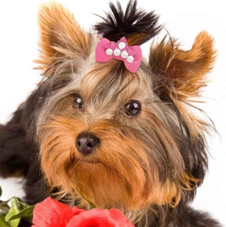 20 Pcs Pet Crown Decoration, Pet Hair Bows - OneBag