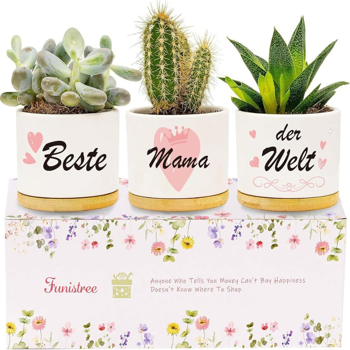 3 Pcs Mother's Day Gift Ceramic Small Planters Pots with Saucers - OneBag