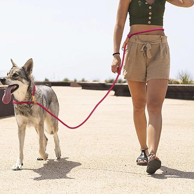 Adjustable Handle Hands Free Slip Lead Dog, 2.1m Lightweight dog leash - OneBag