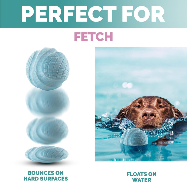 2 Pcs Purrfects TPR Range Dog Ball - OneBag
