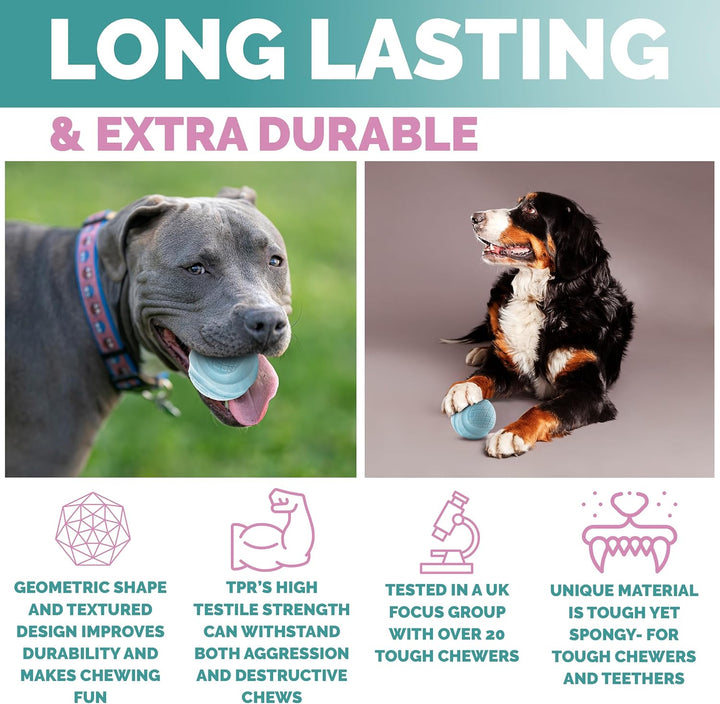 2 Pcs Purrfects TPR Range Dog Ball - OneBag