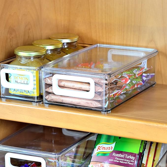 2 Pcs 25CM x 15CM x 7.5CM Heavy Hard Plastic Storage Organizer Container Bins - OneBag