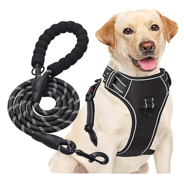 haapaw No Pull Dog Harness Adjustable Reflective Oxford Easy Control Medium Large Dog Harness with a Free Heavy Duty Dog Lead